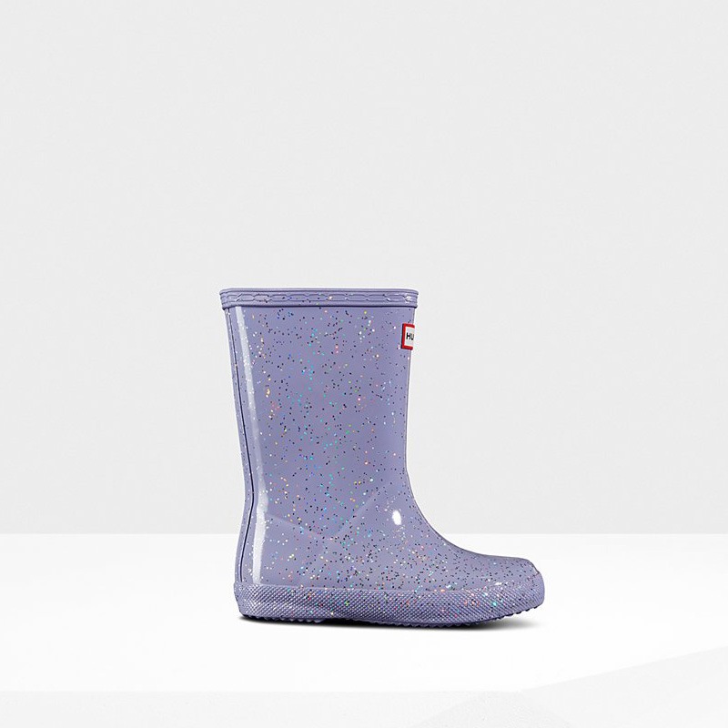 Hunter Original Giant Glitter Wellies (W167R) Ireland